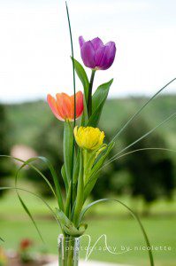 Arrowhead Golf Course, Littleton, Colorado, Wedding Photographer