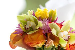 Arrowhead Golf Course, Littleton, Colorado, Wedding Photographer