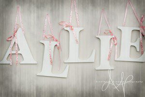 North Fayette Township PA Maternity Photographer