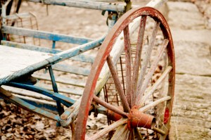 Hozak Farms Photographer
