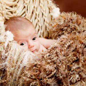 Baldwin Baby Photographer