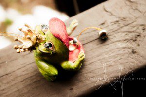 Seven Springs Mountain Resort Photographer