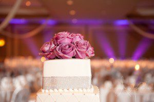 Embassy Suites Moon Township Pennsylvania Wedding Photographer