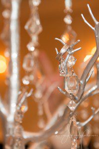 Professional Wedding Photographers in Layton Utah