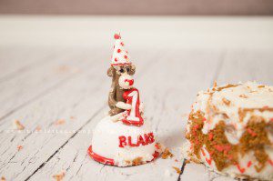 Smash the Cake Photographers in Clinton UT