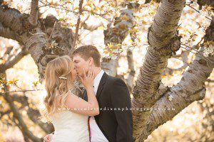 Professional Wedding Photographers in Fruit Heights Utah