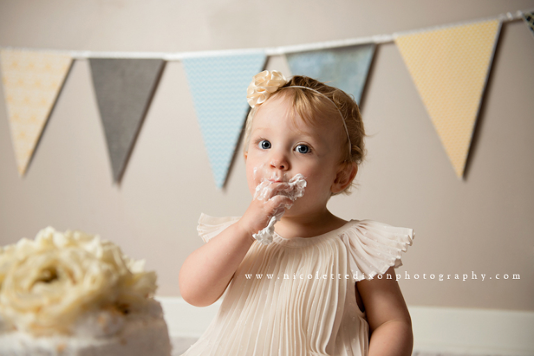Pittsburgh Baby Photographer