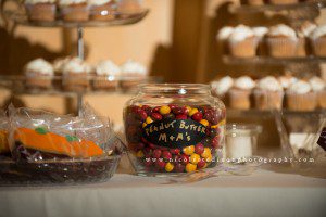 Silverthorne Pavilion Colorado Wedding Photographers