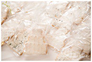 Pittsburgh PA Wedding Photographer
