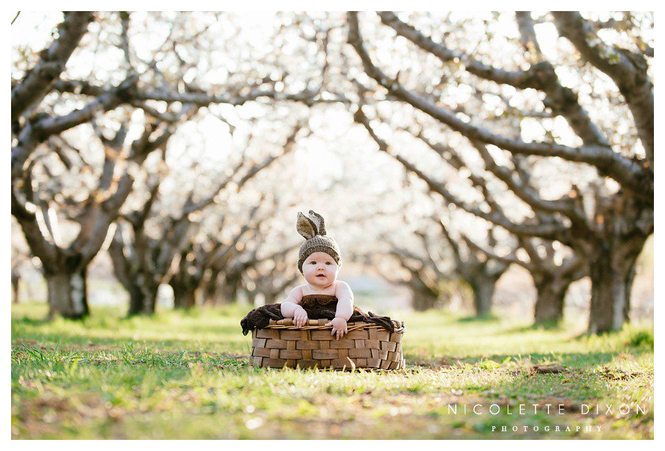 Salt Lake City Baby Photographer