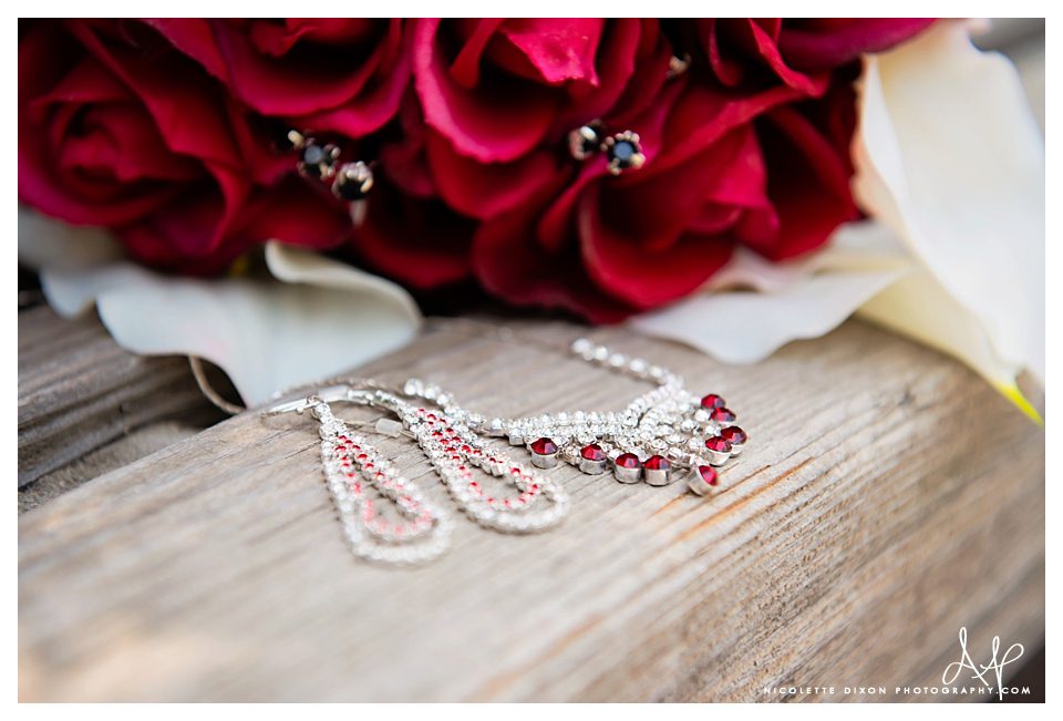 Salt Lake City Wedding Photographer