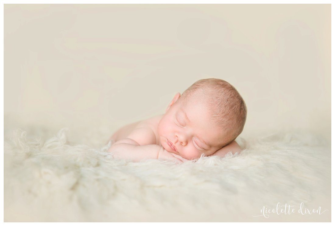 Pittsburgh Baby Photographer