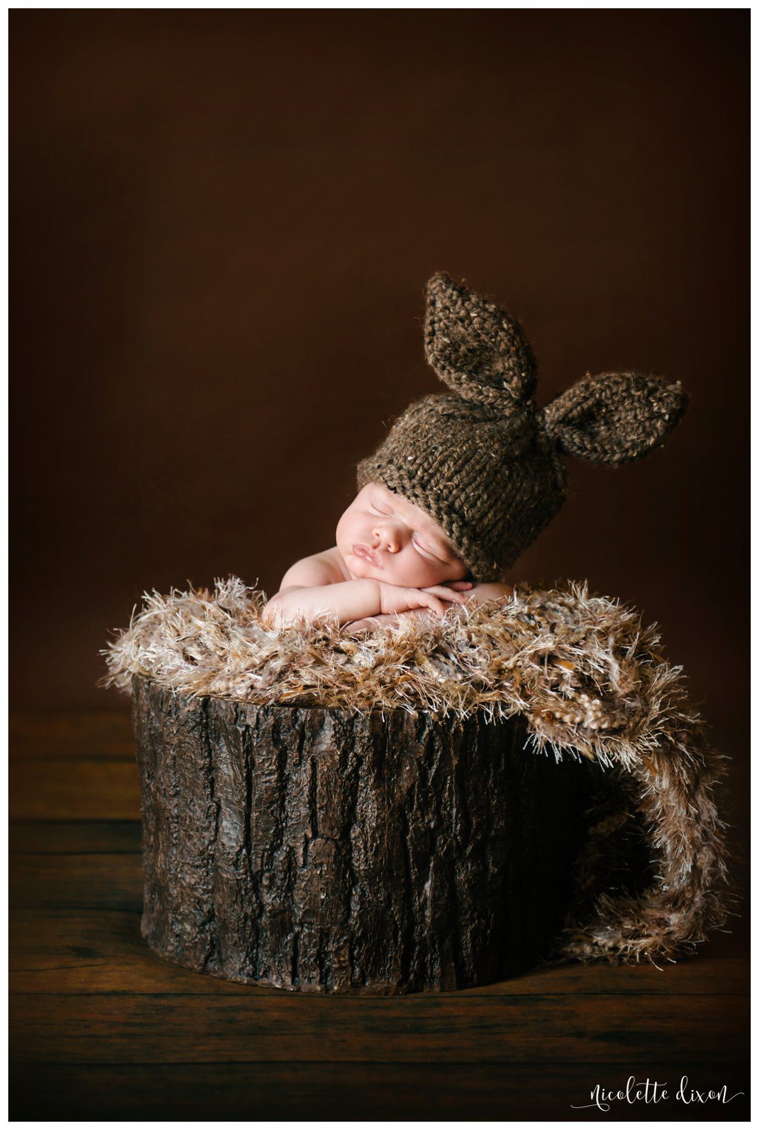 Pittsburgh Baby Photographer