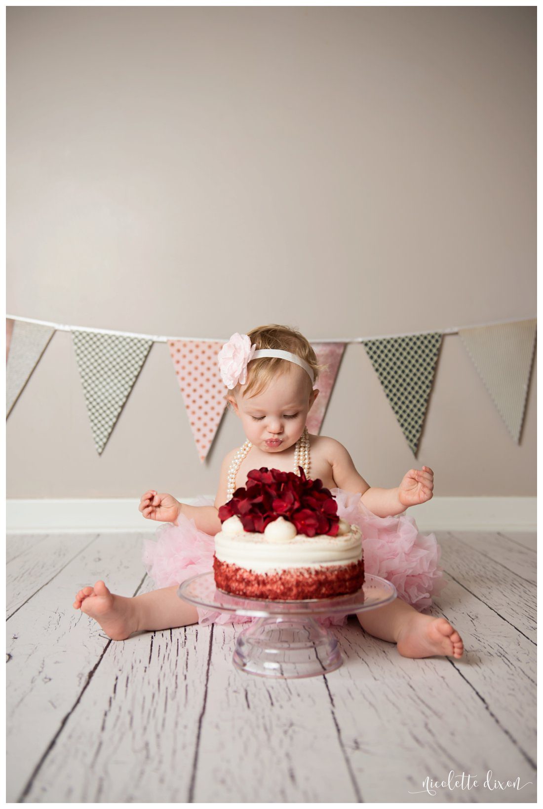 Pittsburgh Baby Photographer