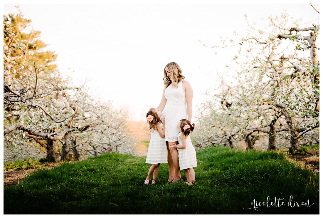 Pittsburgh Family Photographer