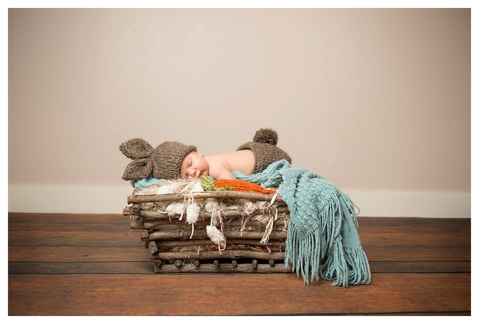 Kaysville Utah Newborn Photographers