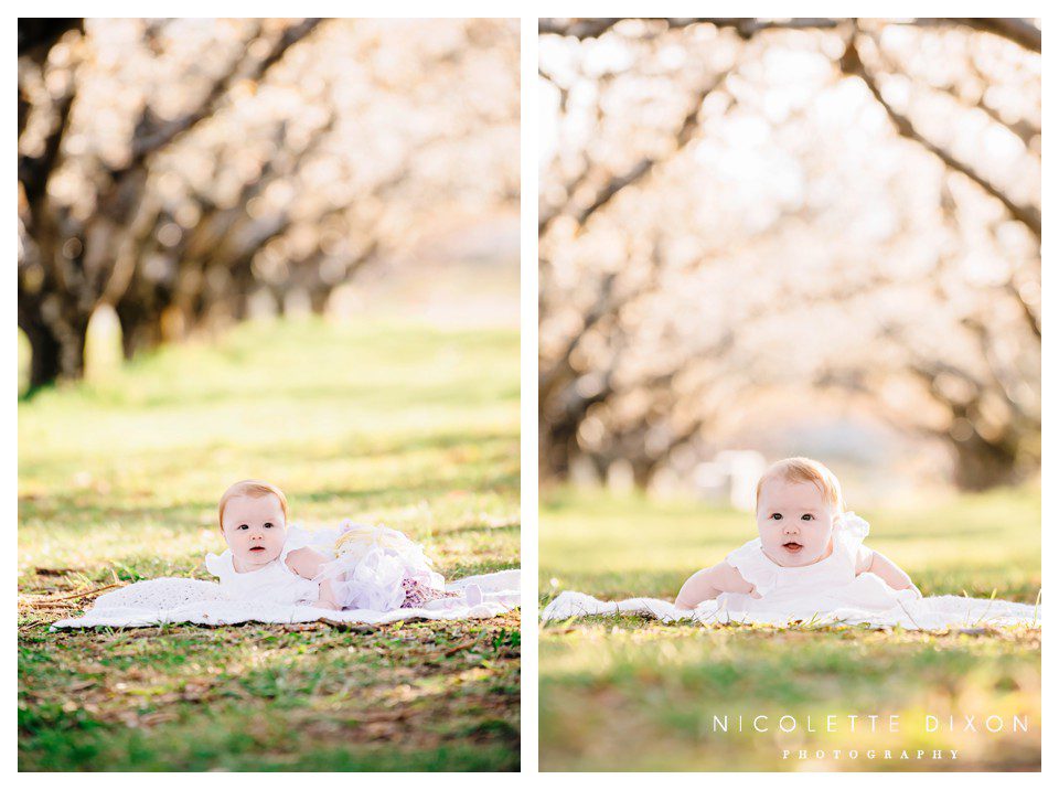 Salt Lake City Children Photographer