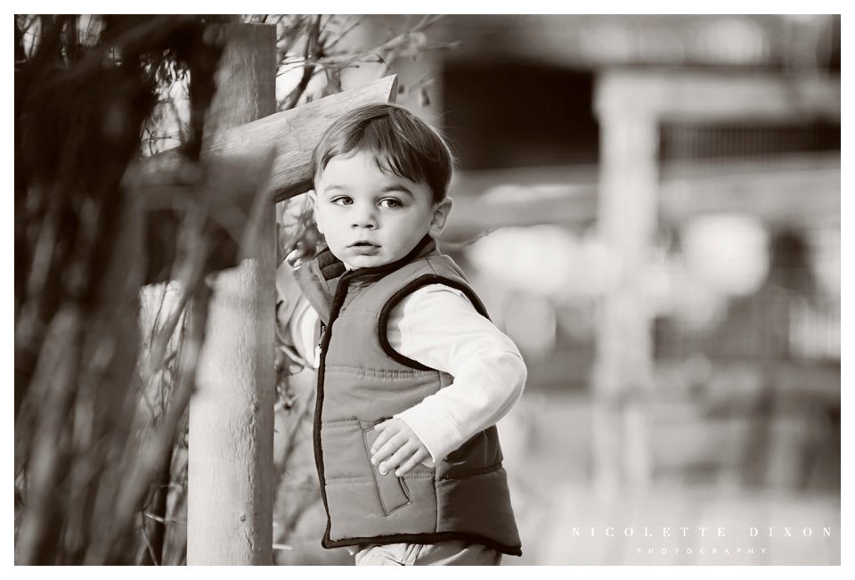 Pittsburgh Children Photographer