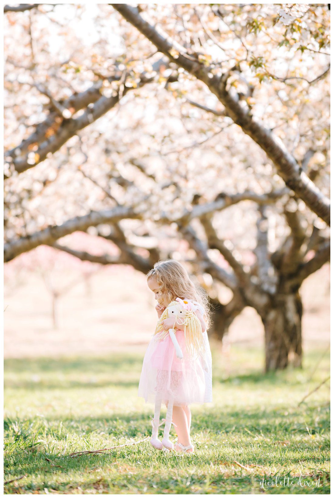 Pittsburgh Children Photographer