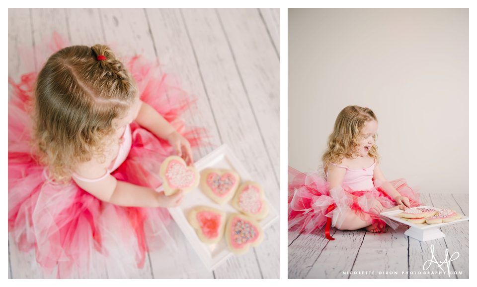 Pittsburgh Photographer Pittsburgh Photographer