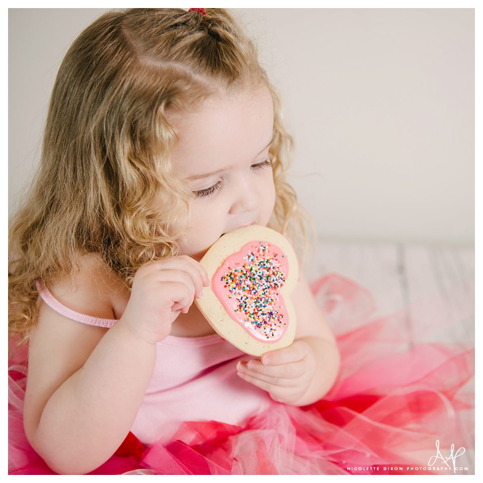 Pittsburgh Photographer Pittsburgh Photographer