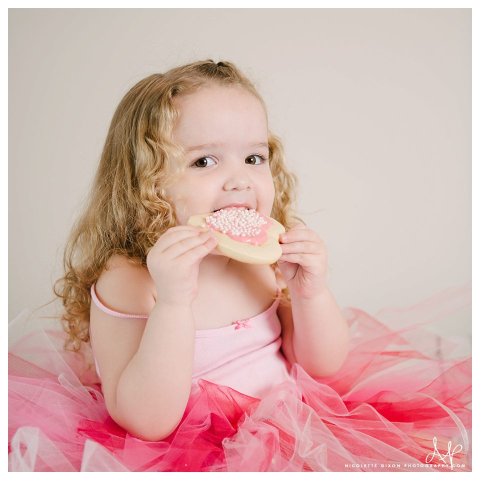 Pittsburgh Photographer Pittsburgh Photographer