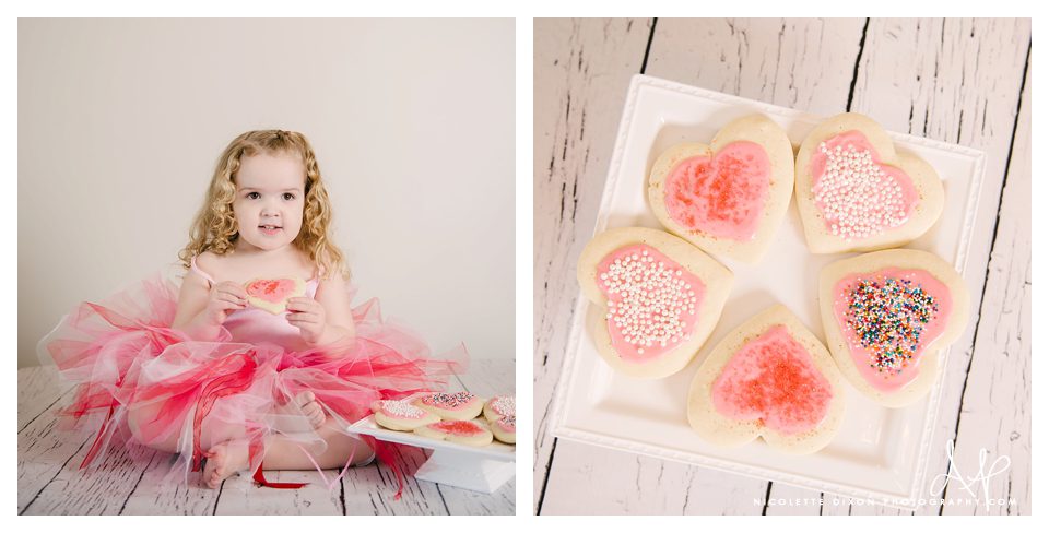 Pittsburgh Photographer Pittsburgh Photographer