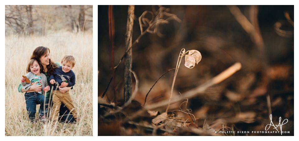 Pittsburgh PA Family Photographer