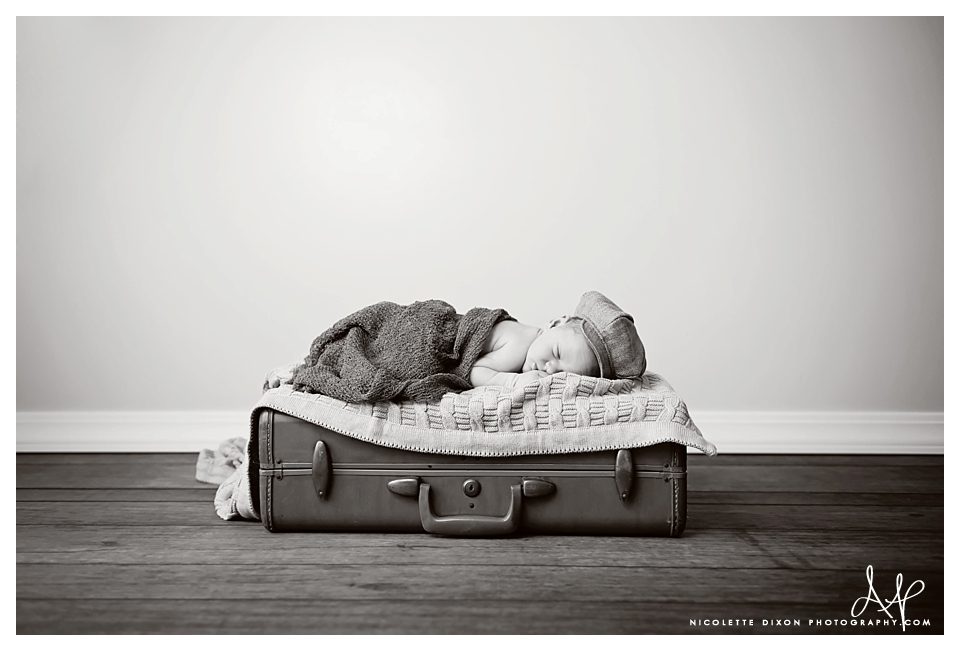 Moon Township PA Baby Photographer Moon Township PA Baby Photographer