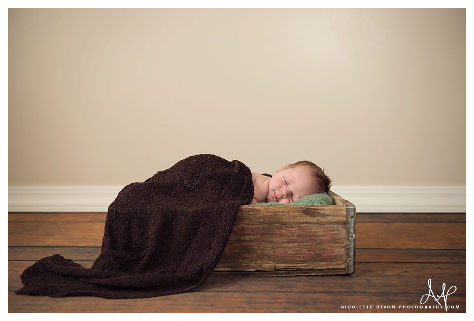 Moon Township PA Baby Photographer Moon Township PA Baby Photographer