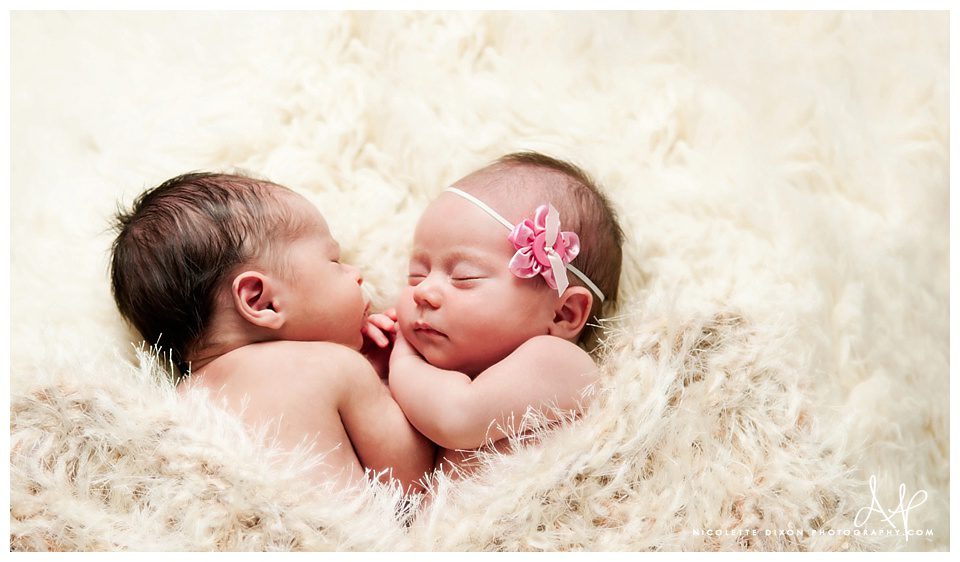 Pittsburgh Newborn Photographer