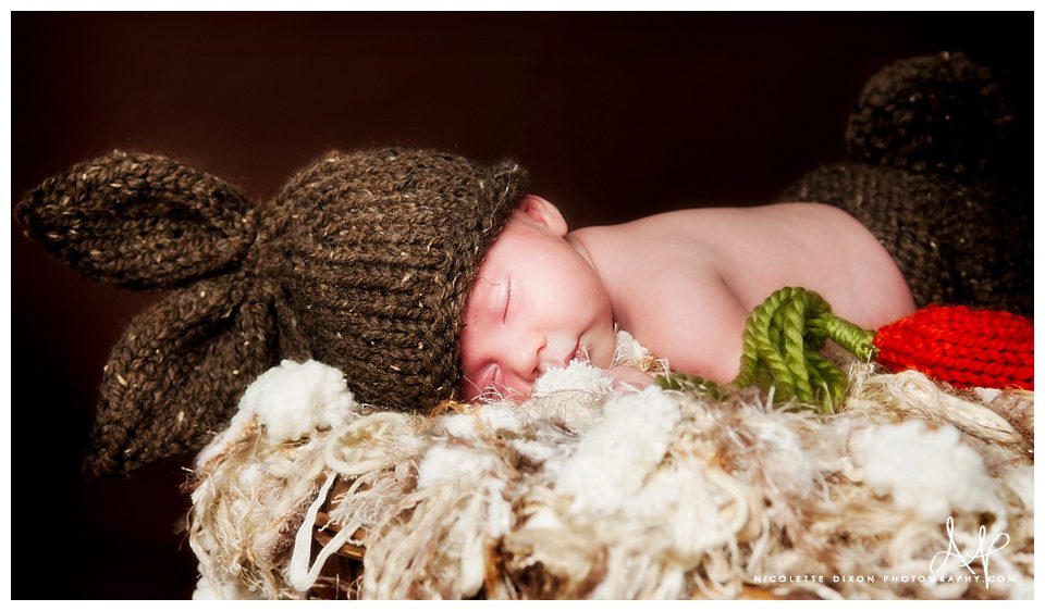 Pittsburgh Newborn Photographer