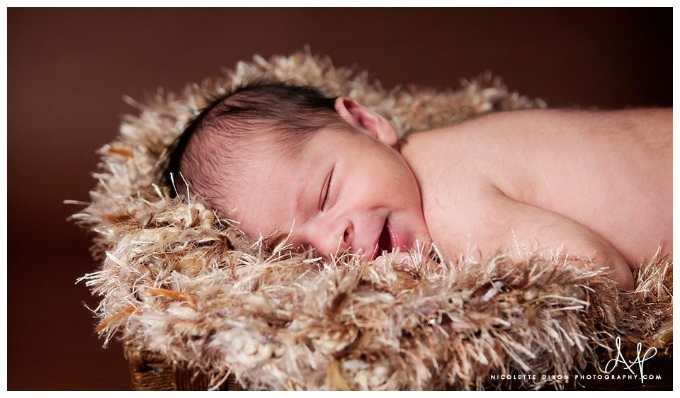 Pittsburgh Newborn Photographer