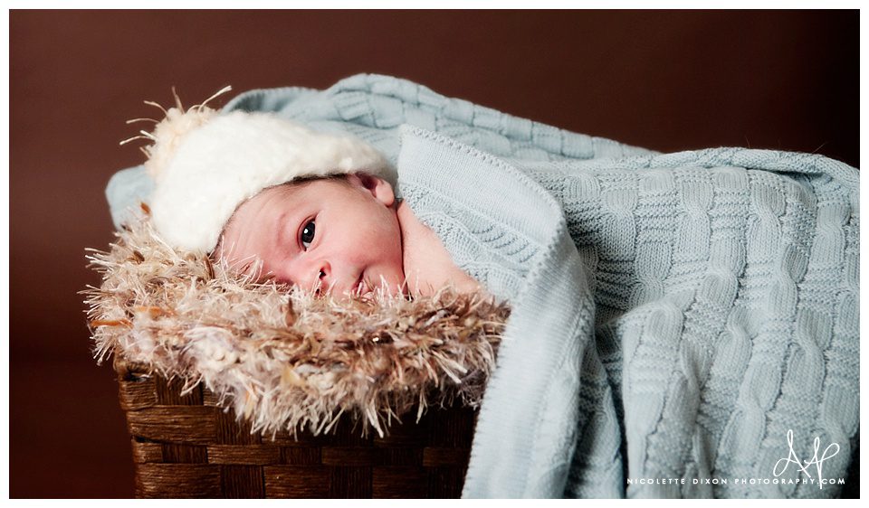 Pittsburgh Newborn Photographer