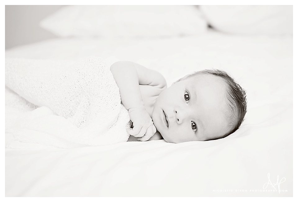 Sewickley Newborn Photographer Sewickley Newborn Photographer