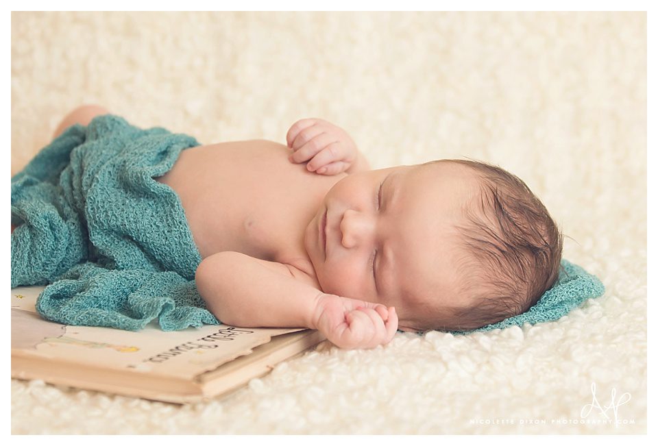 Sewickley Newborn Photographer Sewickley Newborn Photographer