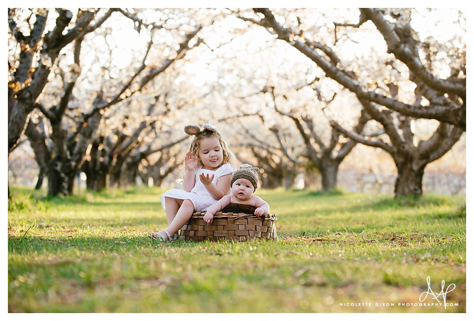 Salt Lake City baby Photographer