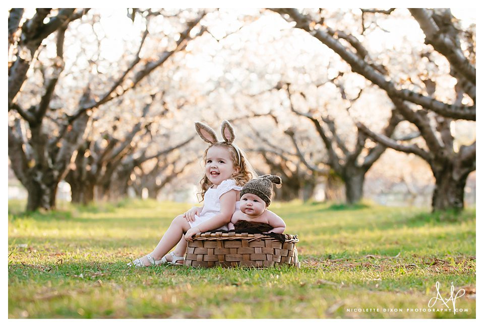 Salt Lake City baby Photographer