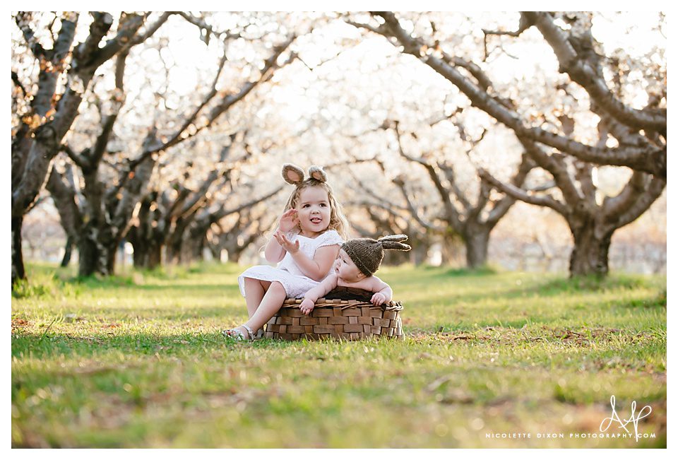Salt Lake City baby Photographer