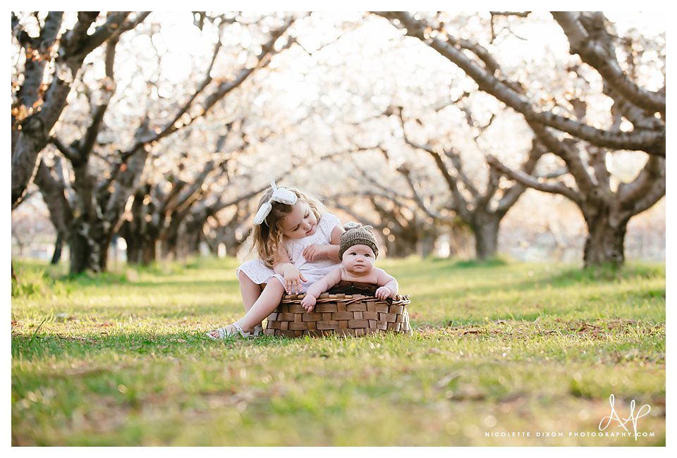 Salt Lake City baby Photographer