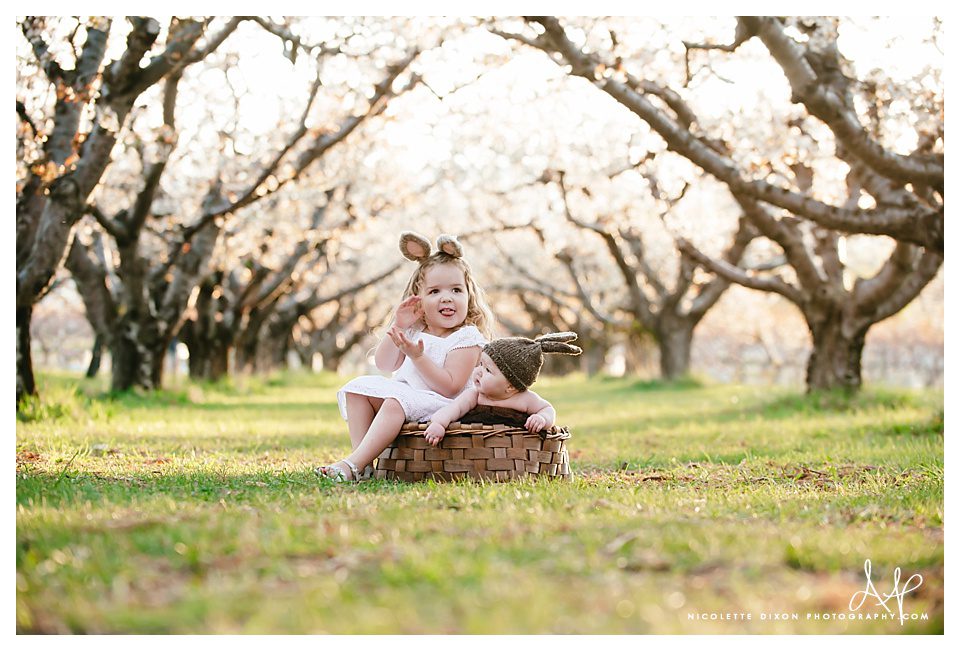 Salt Lake City baby Photographer
