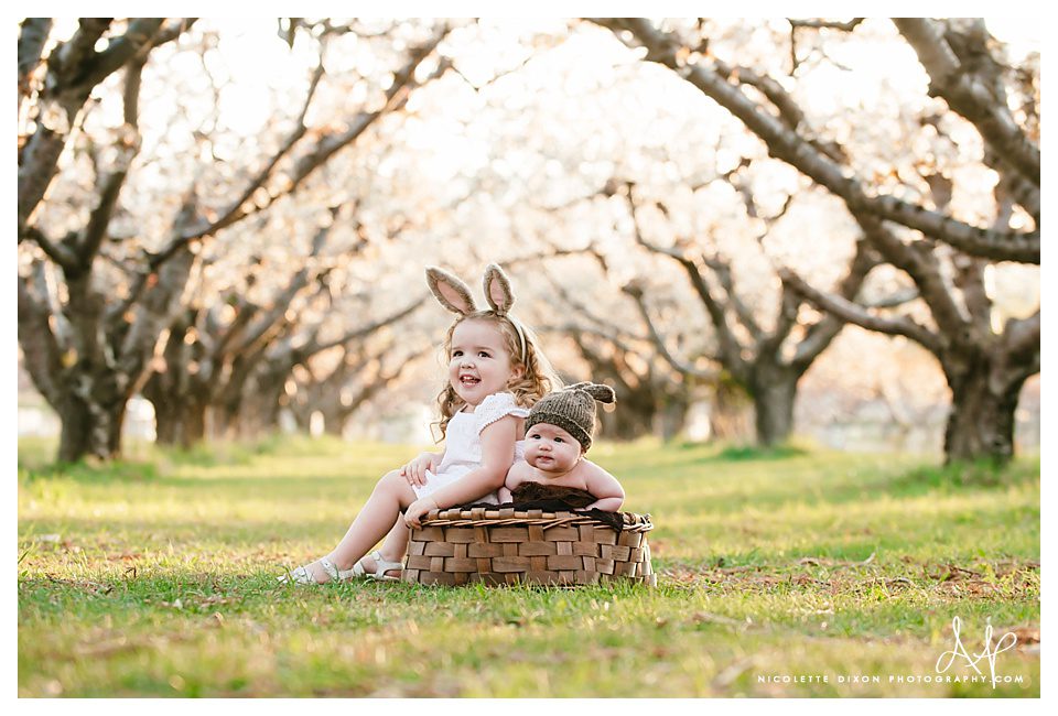 Salt Lake City baby Photographer