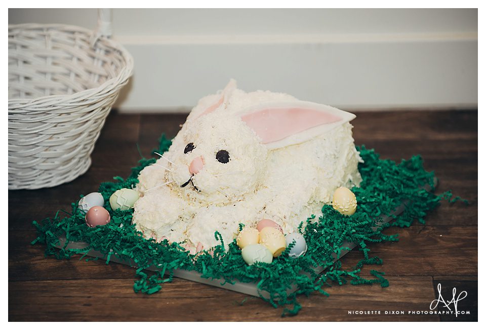 Sewickley Kid Photographer