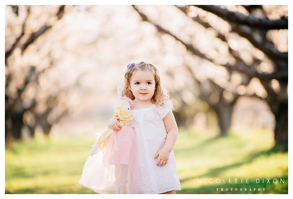 Moon Township Baby Photographer