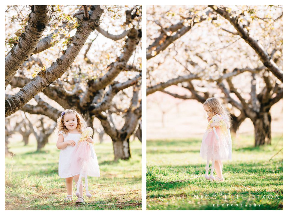 Moon Township Baby Photographer