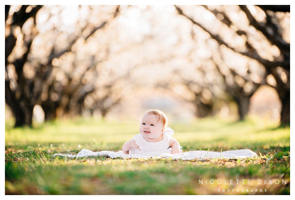 Moon Township Baby Photographer