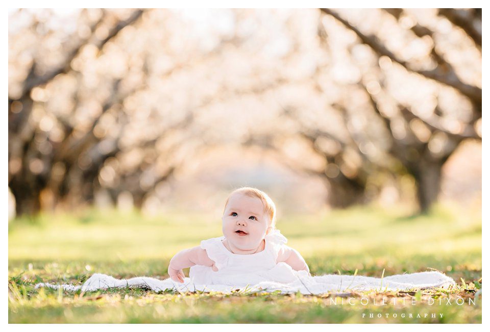 Moon Township Baby Photographer