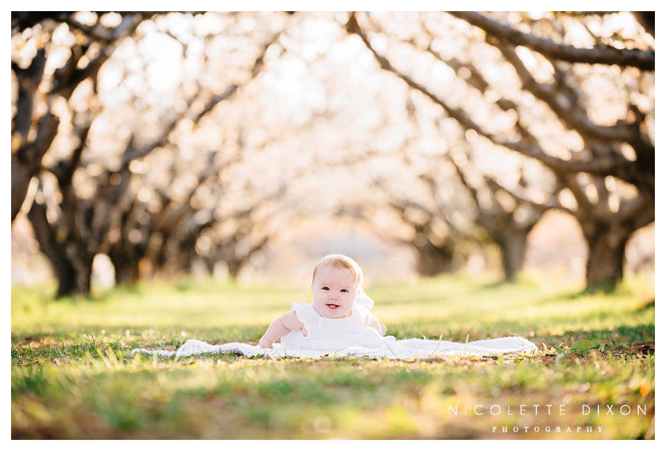 Moon Township Baby Photographer