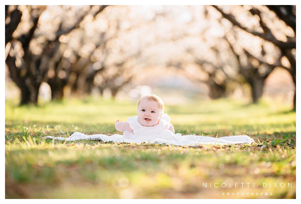 Moon Township Baby Photographer