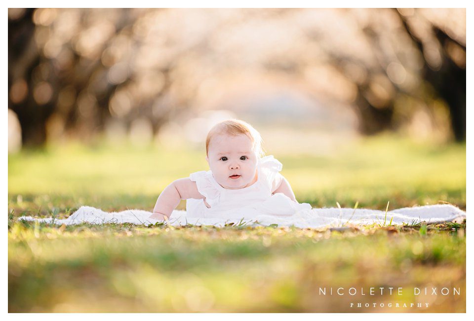 Moon Township Baby Photographer